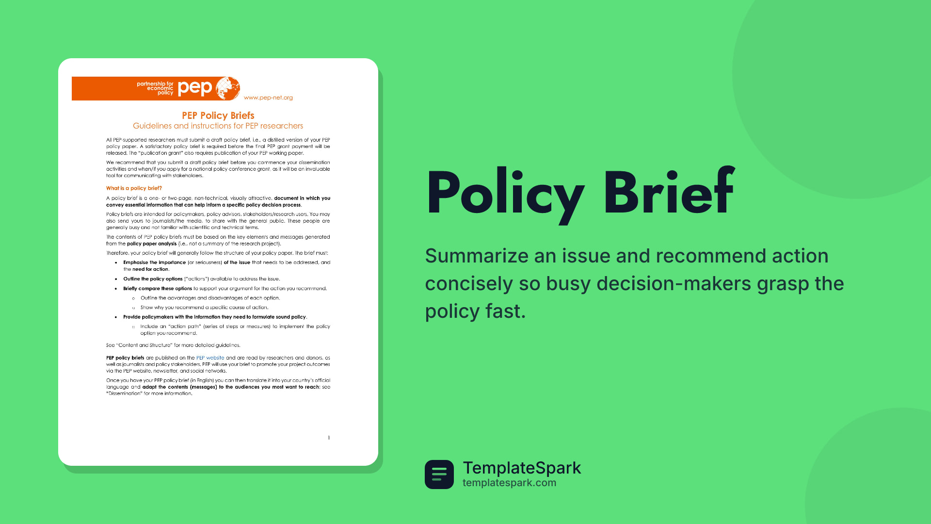 Policy Brief preview