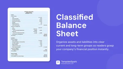 Classified Balance Sheet preview