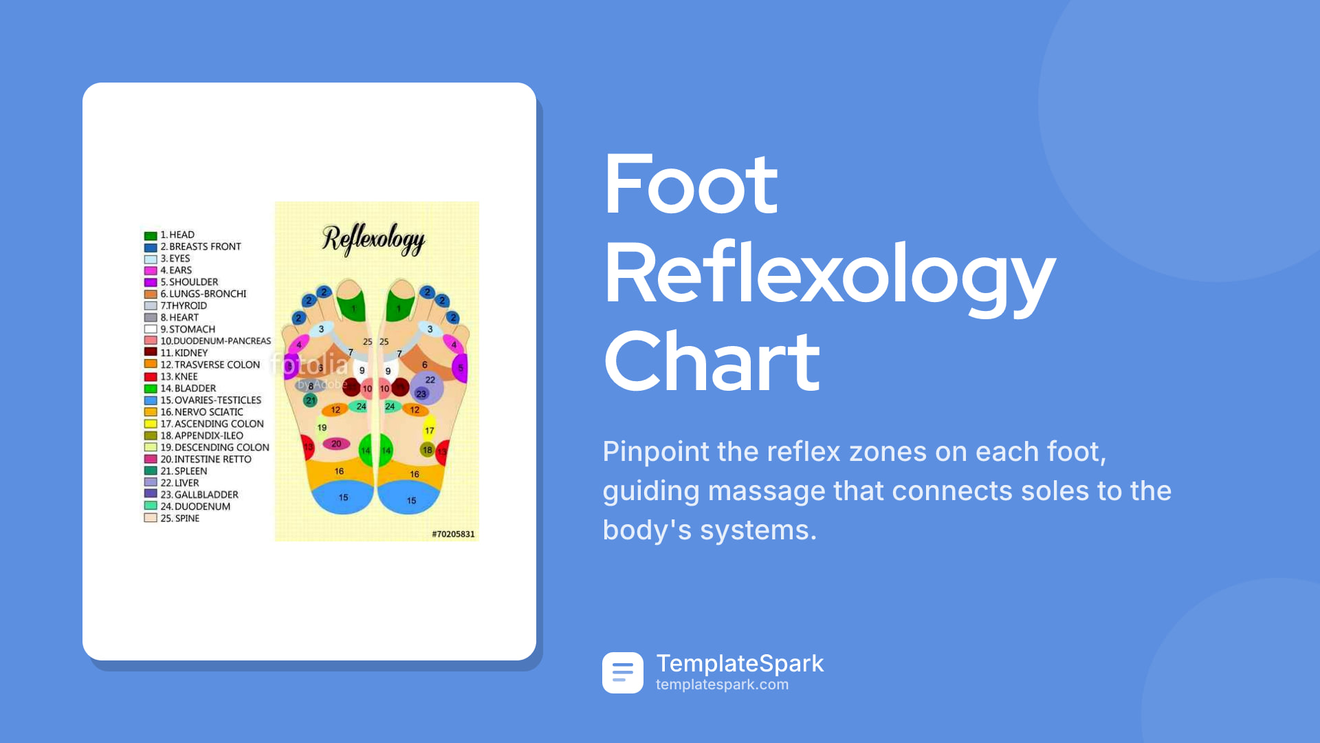 Foot Reflexology Chart