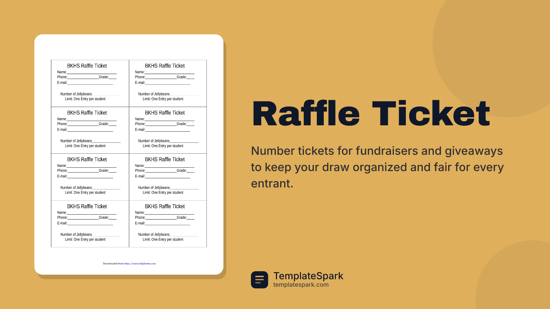 Raffle Ticket preview
