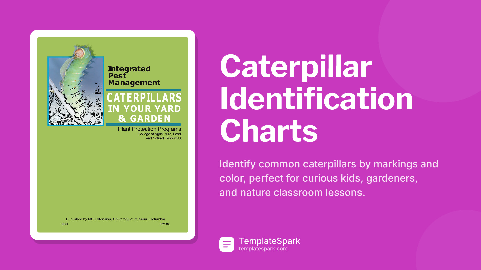 Caterpillar Identification Charts