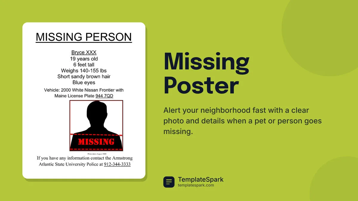 Missing Poster Missing Poster