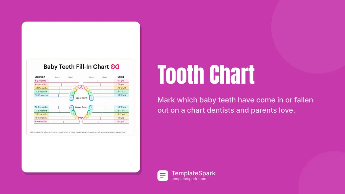 Tooth Chart Tooth Chart