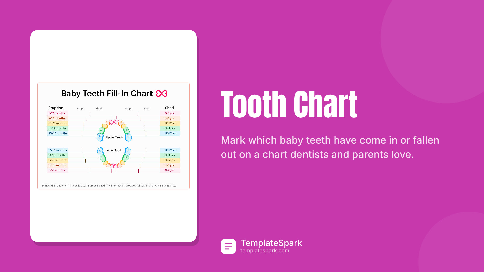Tooth Chart