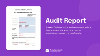 Audit Report
