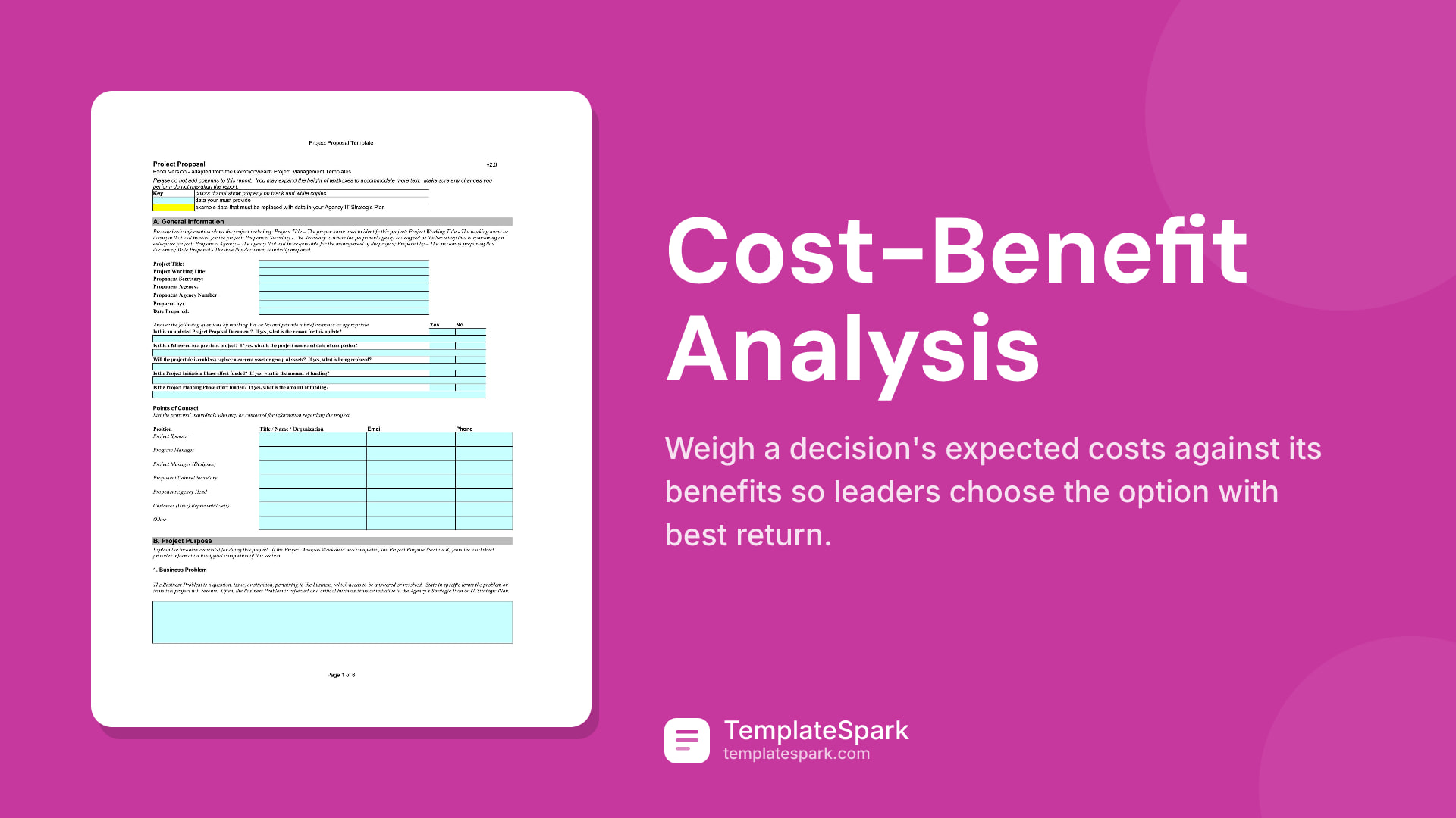 Cost-Benefit Analysis preview