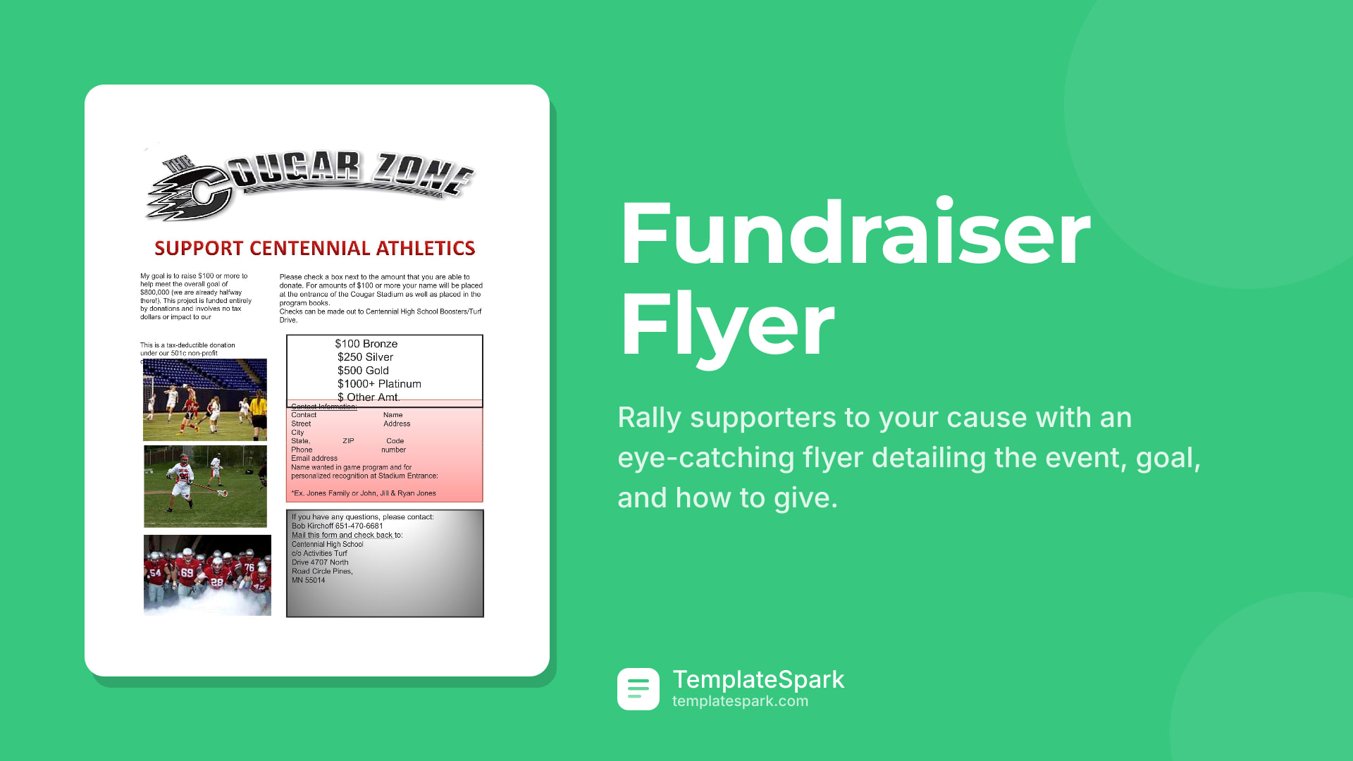 Fundraiser Flyer preview