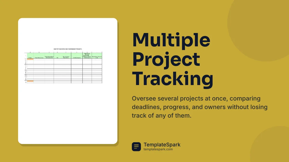 Multiple Project Tracking Multiple Project Tracking