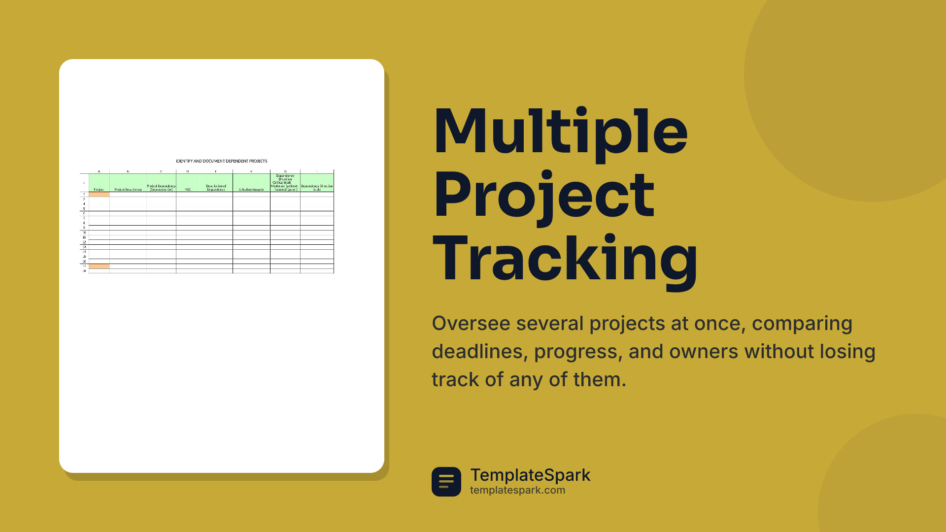 Multiple Project Tracking