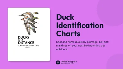 Duck Identification Charts