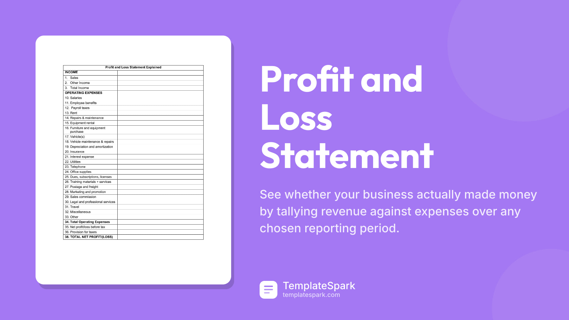 Profit and Loss Statement preview