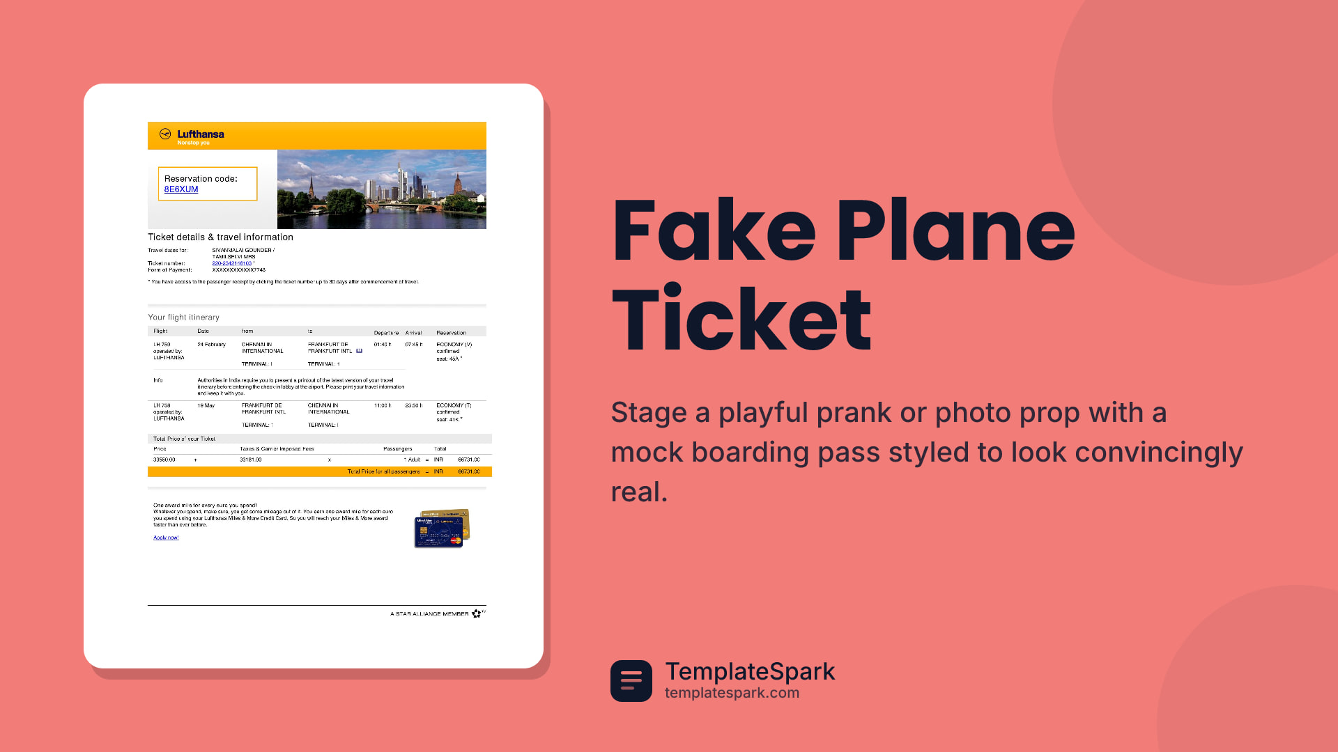 Fake Plane Ticket preview