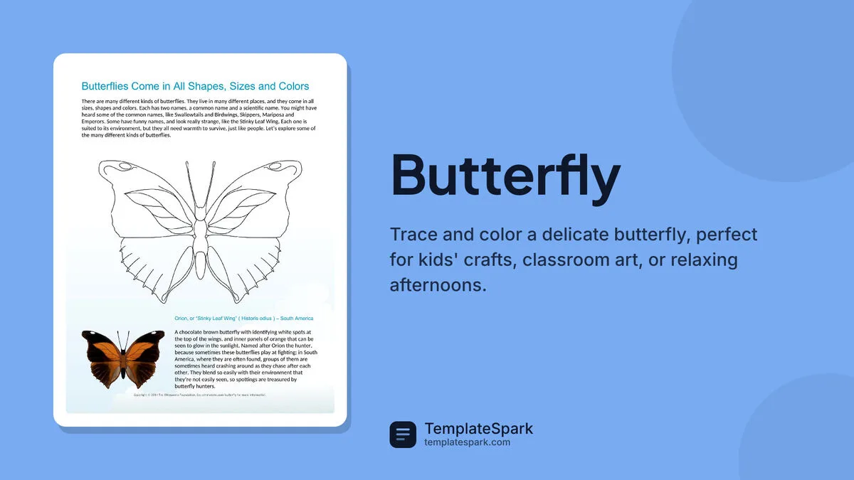 Butterfly Butterfly