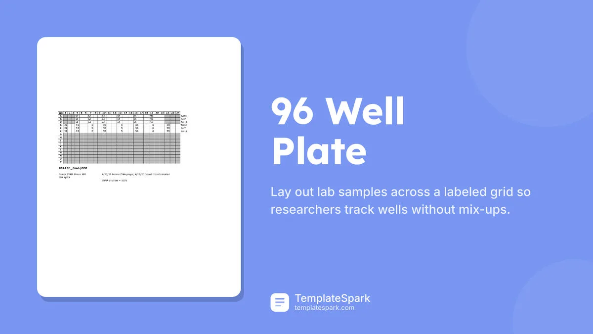 96 Well Plate 96 Well Plate