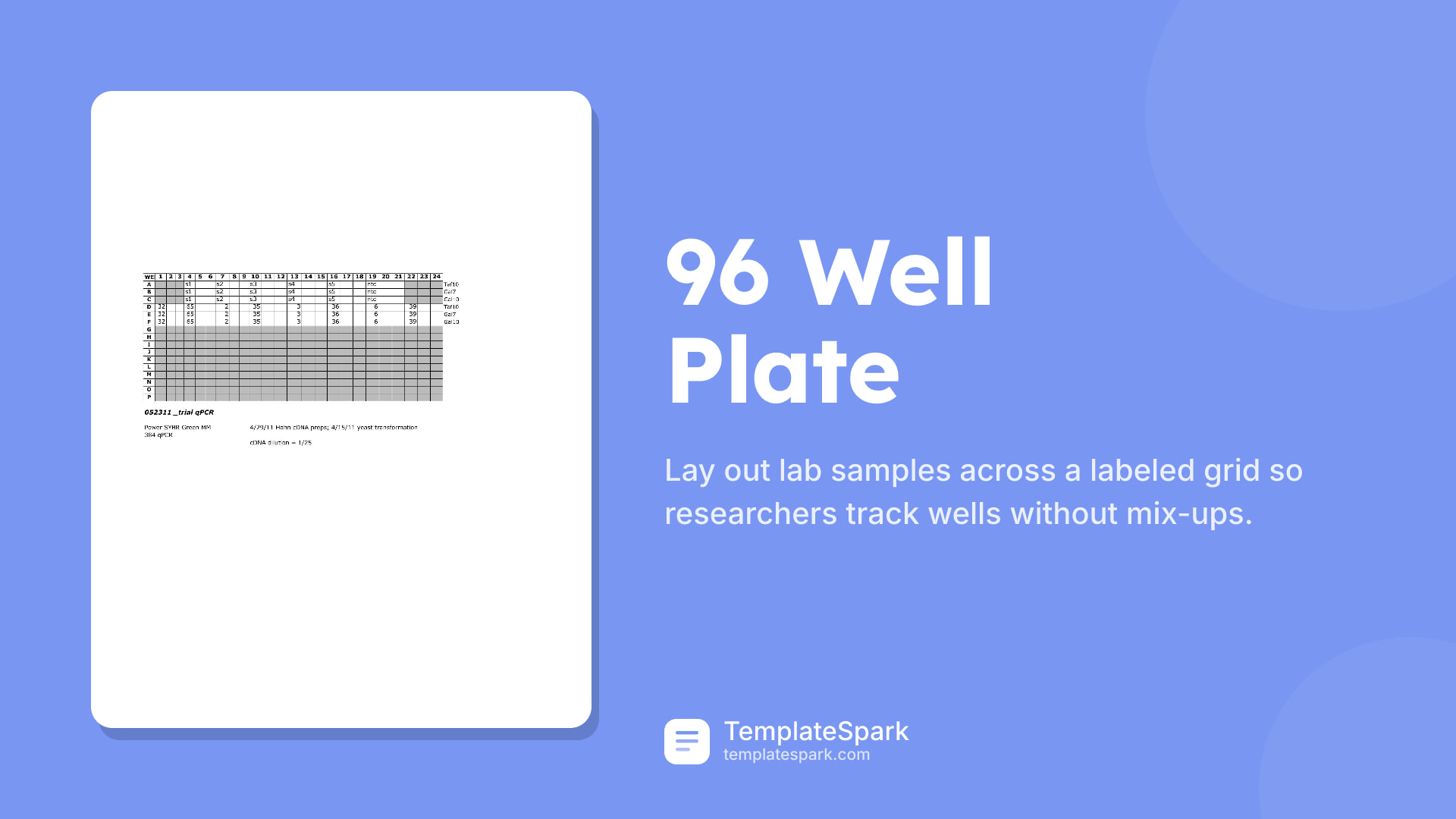 96 Well Plate