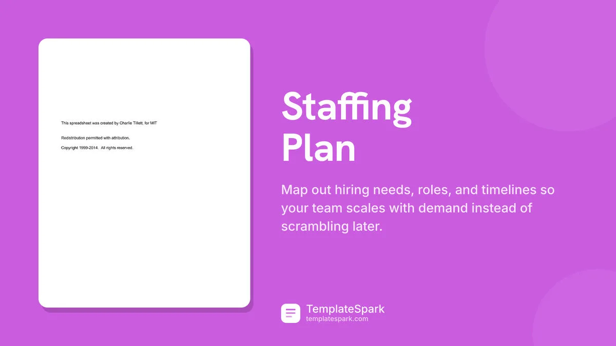 Staffing Plan Staffing Plan