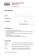 Audit Report Template template thumbnail