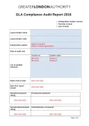 Website Audit Report Template template thumbnail