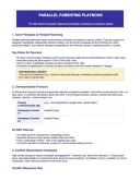 Parallel Parenting Playbook template thumbnail