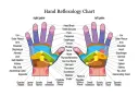 Free Download Hand Reflexology Chart template thumbnail