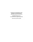 Nonprofit Financial Statement Template Word template thumbnail