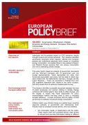 2 Page Policy Brief Example template thumbnail