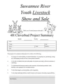 Project Budget Summary Template template thumbnail