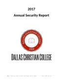Security Report Template Download template thumbnail