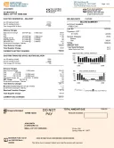 Editable Fillable Utility Bill template thumbnail